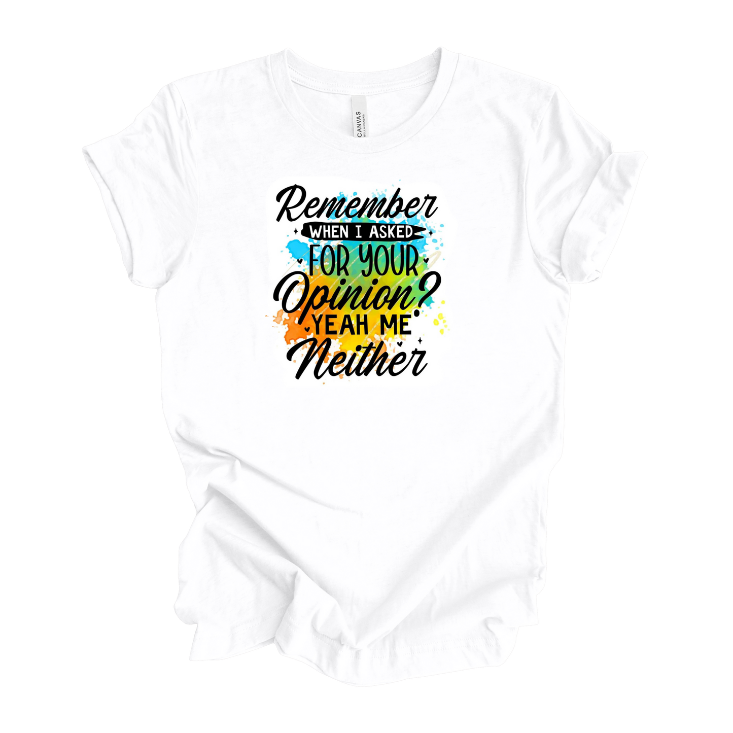 Remember When I Asked For Your Opinion